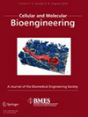 Cellular and Molecular Bioengineering雜志封面